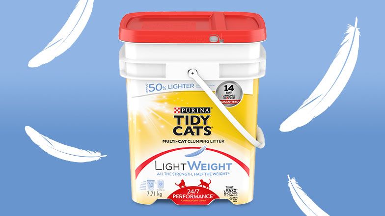 Tidy cats lightweight cat litter