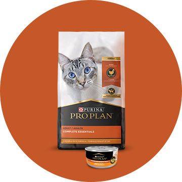 Purina Pro Plan Cat