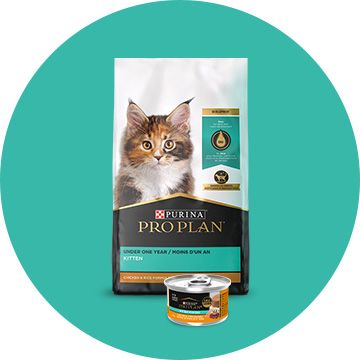 Purina pro plan cat food petsmart hotsell