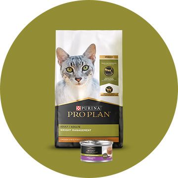 Purina Pro Plan Cat