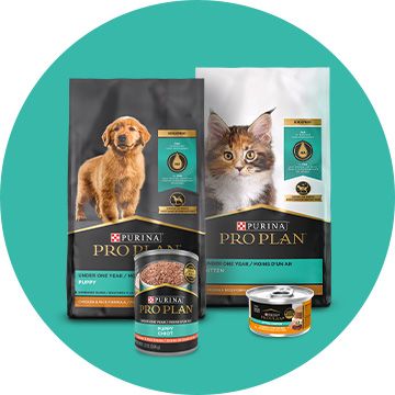 Purina Pro Plan Purina Dog Food Cat Food Supplements PetSmart Canada