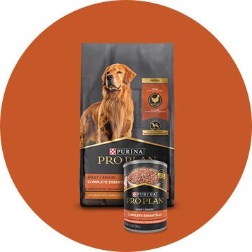 Purina Pro Plan for Dogs Puppy Adult Senior Dog Food Supplements PetSmart Canada