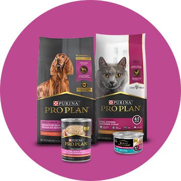 Purina Pro Plan Purina Dog Food Cat Food Supplements PetSmart Canada