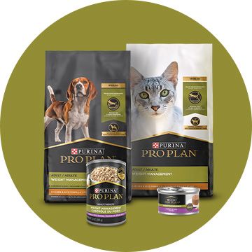 Purina pro plan focus weight management cat food hotsell