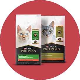 Purina pro best sale plan kitten favorites