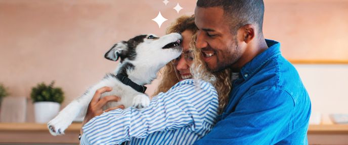 Couple with husky puppy and sparkles overlay