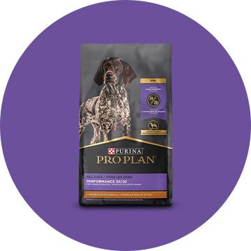 Dog food in a black bag best sale