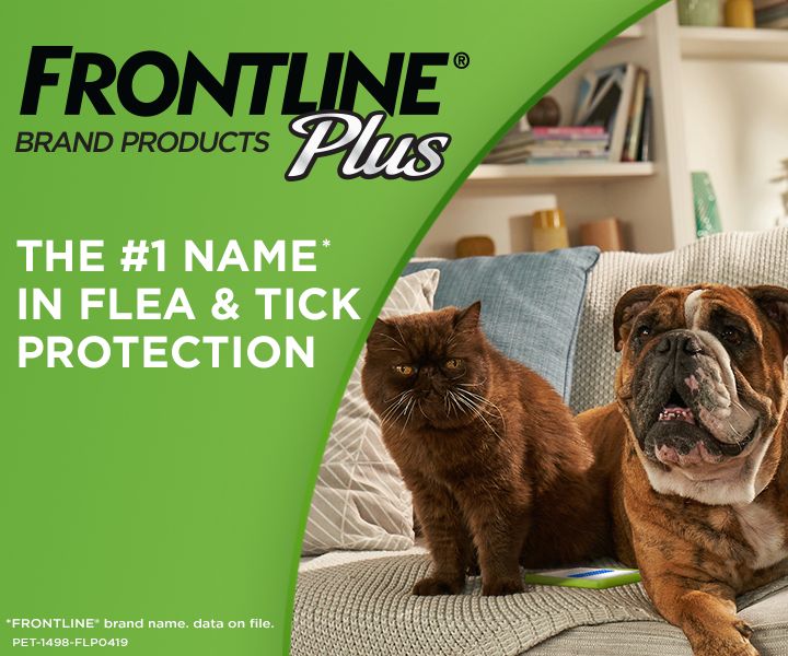 Frontline Plus Flea & Tick Treatment for Cats & Dogs PetSmart
