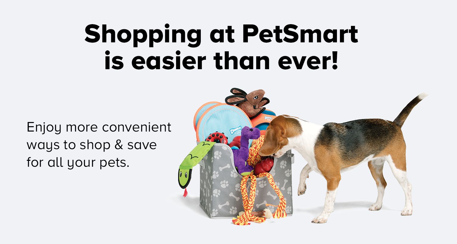 Pet clearance shopping sites