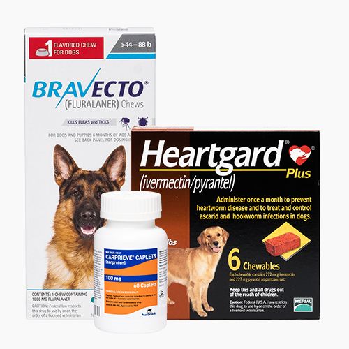 Pet Pharmacy: Prescription Medication 
