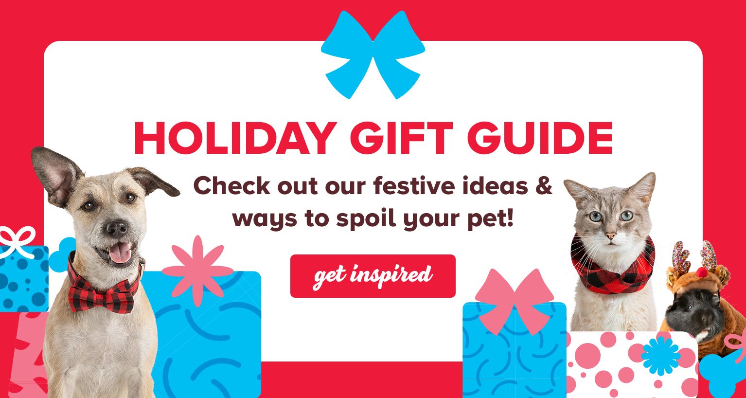 bakery for cats near me