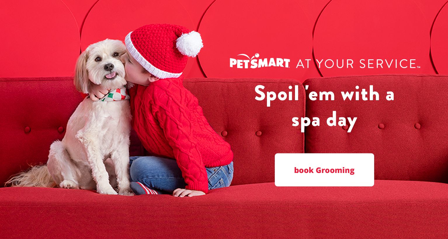 fluffy tiny white dog