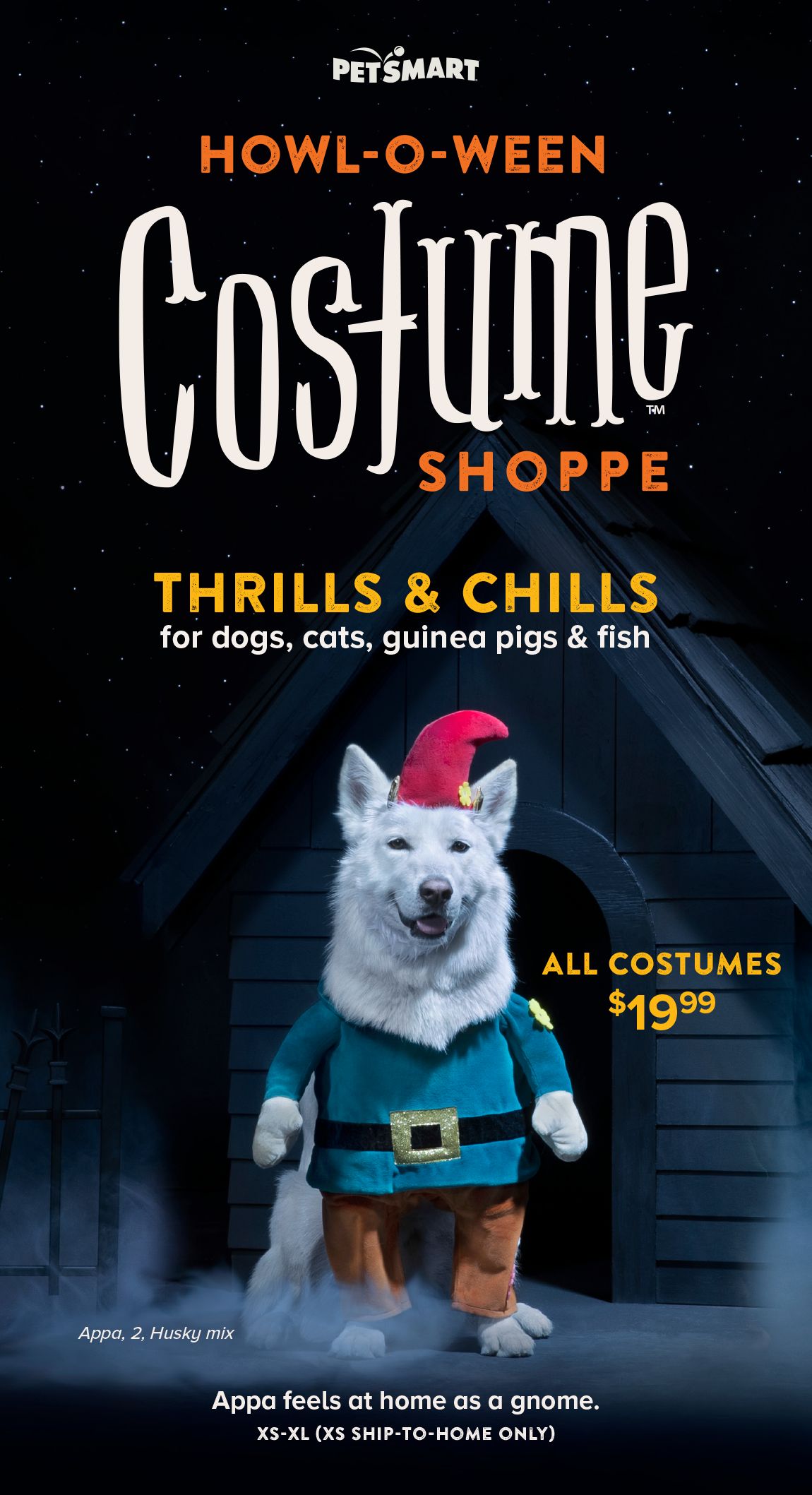 thundershirt petsmart