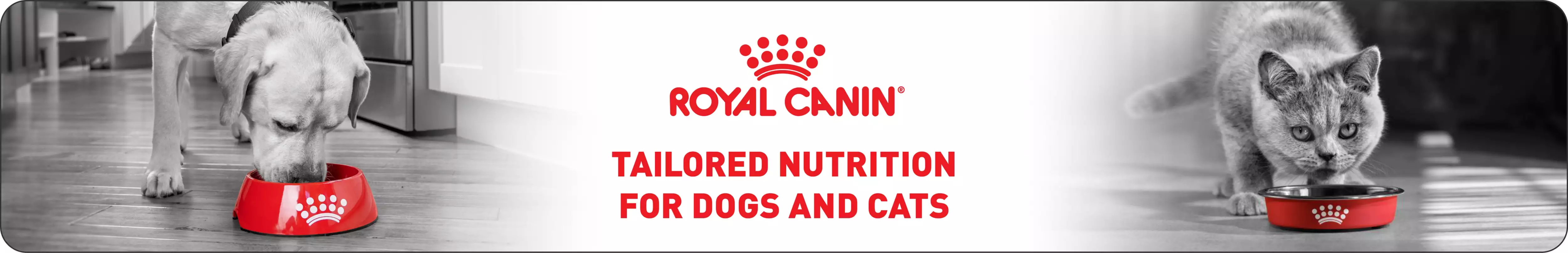 Royal Canin logo with tagline 'tailored nutrition for dogs and cats' with a dog and cat each eating out of a red bowl