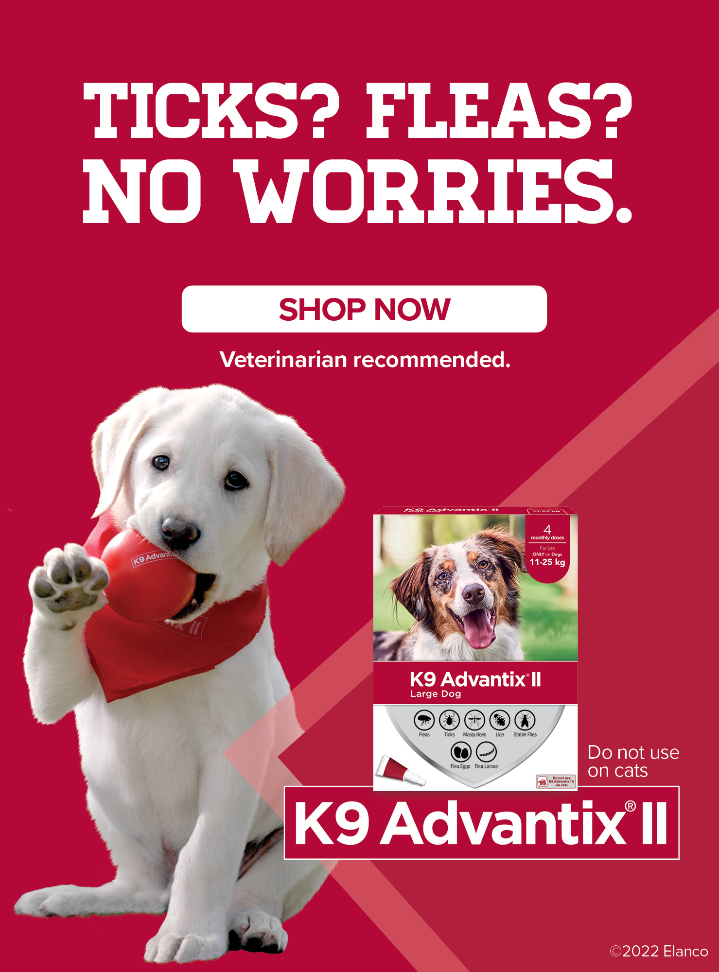 Best Dog Beds & Furniture PetSmart Canada