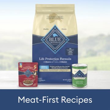 meat-first receipes