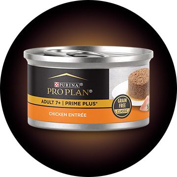 Pro Plan senior wet cat food can