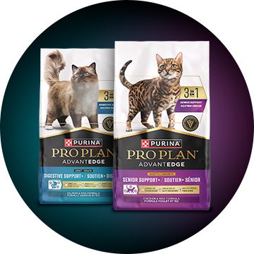 Purina Pro Plan AdvantEDGE dry cat food bags, digestive and senior support