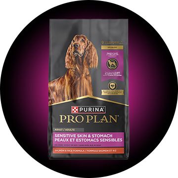 Pro Plan sensitive skin and stomach dog food bag
