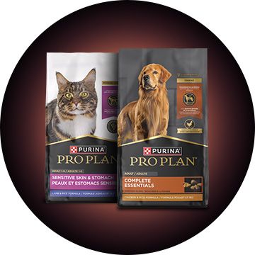Pro Plan dog and cat dry food bags