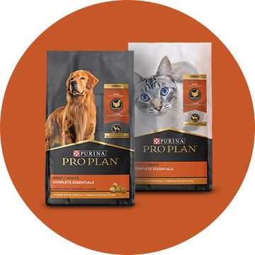 Petsmart pro plan outlet savor