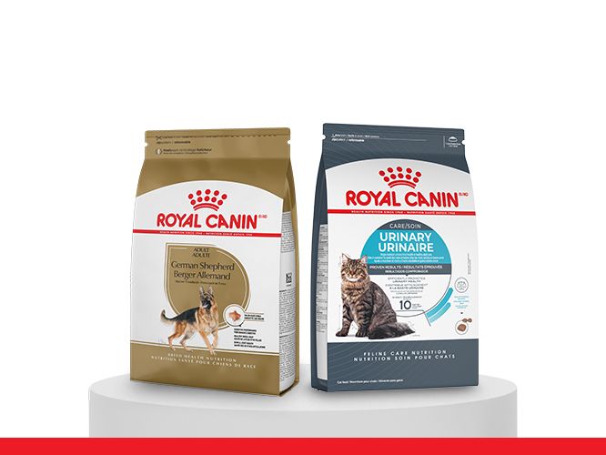 One bag of Royal Canin Dog Food and one bag of Royal Canin Cat Food