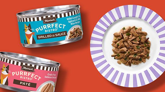 Purrfect Bistro grilled in sauce and pate wet cat food cans next to a plate of wet cat food