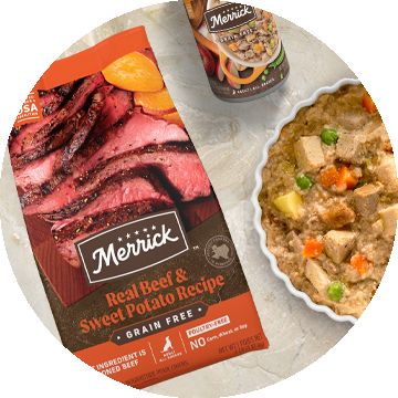Bag of Merrick real beef and sweet potato dog food next to a Merrick wet food can