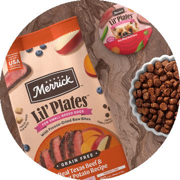 Bag of Merrick Lil' Plates dog food next to a wet dog food cup