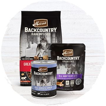 Merrick backcountry outlet dog food coupons