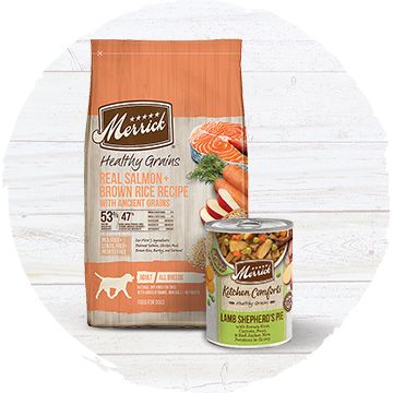 Merrick dog food with ancient clearance grains