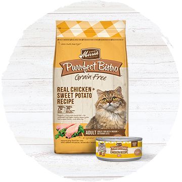 Merrick Dog Food, Cat Food & Merrick Dog Treats