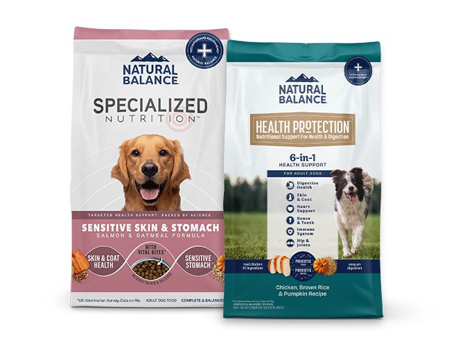bags of natural balance dog food
