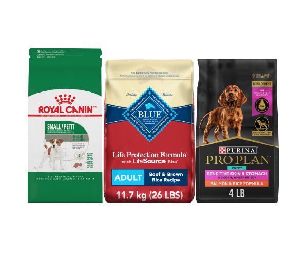 royal canin, blue buffalo and pro plan dog food