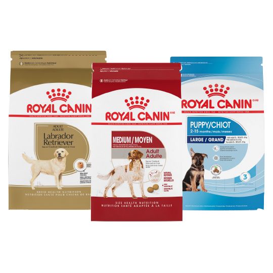 royal canin dog food