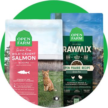 Open Farm cat dry food bags with a green background