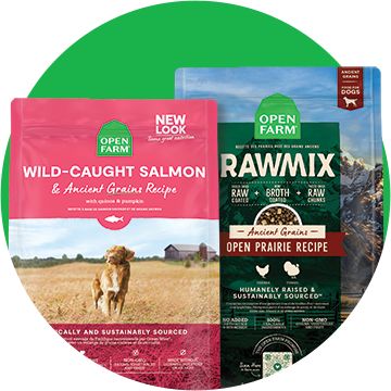 Open Farm dry dog food bags with a green background