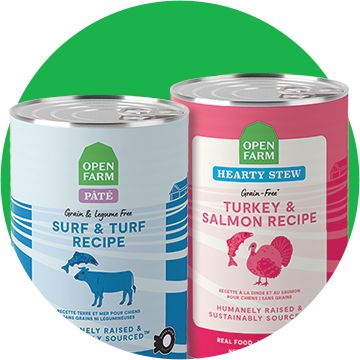 Open Farm wet dog food cans with a green background