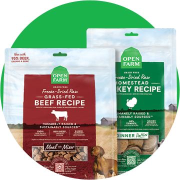 Open Farm freeze-dried raw bags with a green background