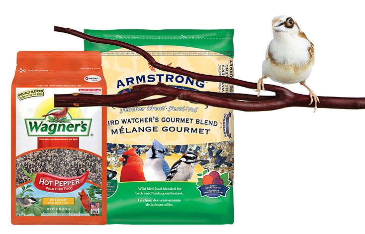 Petsmart wild bird food sale