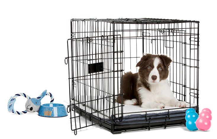 Dog Beds Puppy Beds Furniture Petsmart