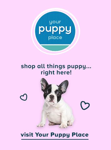 Shop all things puppy...right here! Visit Your Puppy Place.