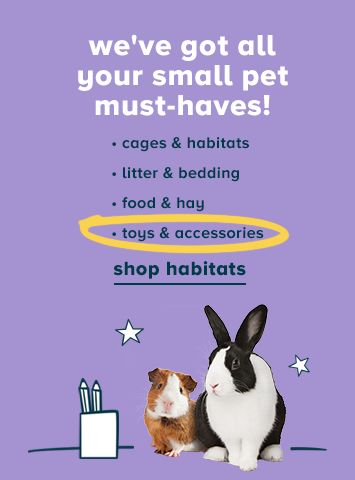 Small Pet Bedding for Ferrets, Rabbits & others | PetSmart