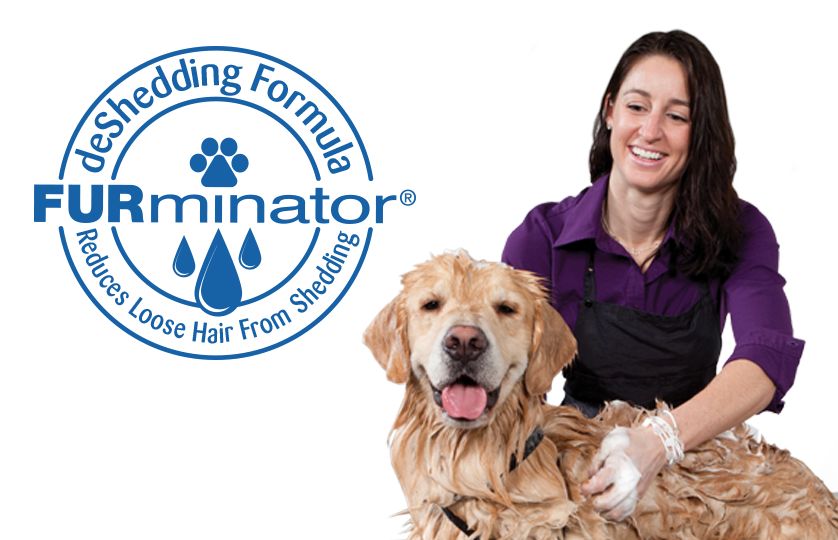 furminator for dogs petsmart