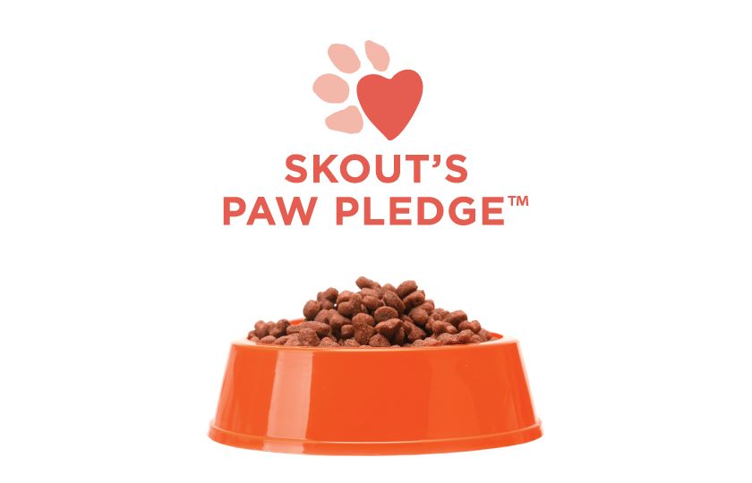 Skout's Honor Pet Cleaning Products Pet Stain & Odor Eliminator PetSmart