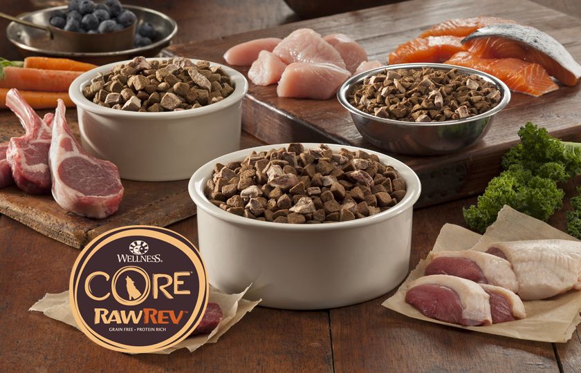 wellness core soft dog food