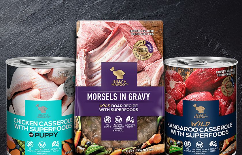 original dog tags military