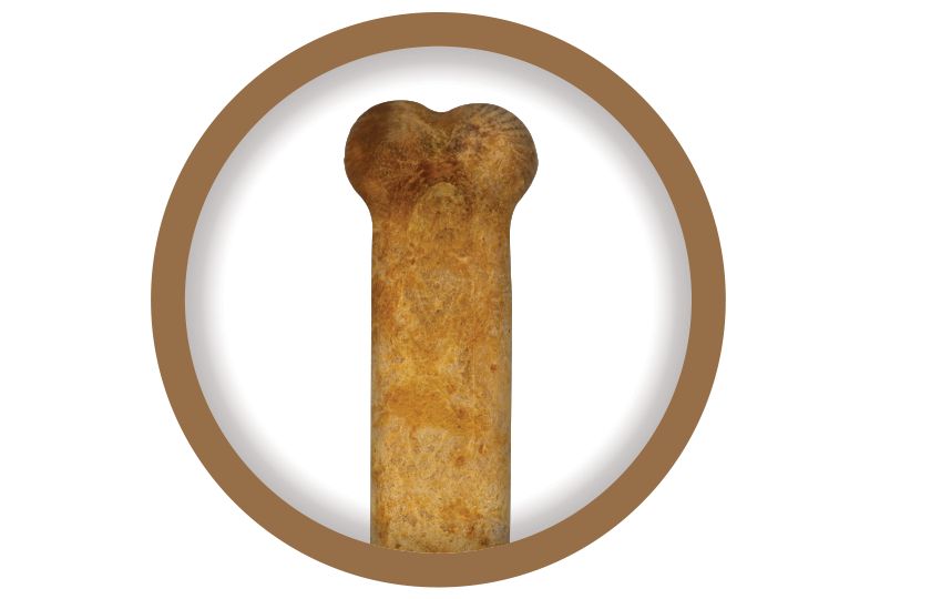 nylabone wood