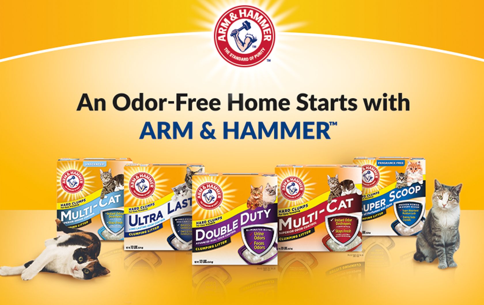 Arm and hammer healthy shop home solutions cat litter