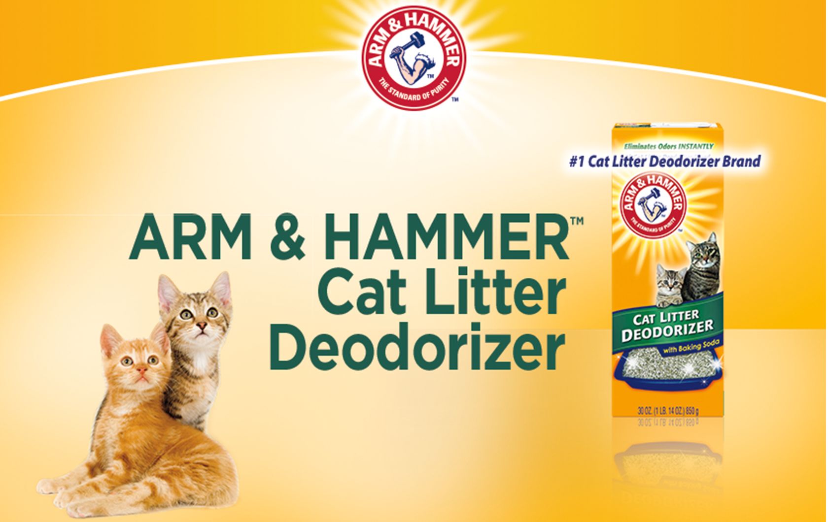 Petsmart brand cat outlet litter